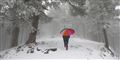 Foto: Pascal Pochard-casabianca/AFP