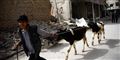 Foto: Bassam Khabieh/Reuters