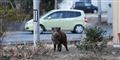 Foto: Toru Hanai (arkiv)/Reuters