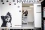 For første gang i Danmark: Dyreværnet starter mobil nonprofit dyreklinik