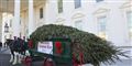Foto: J. Scott Applewhite / POLFOTO