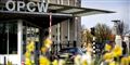 Foto: Koen Van Weel/AFP