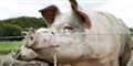 Foto: Annelene Petersen/Scanpix