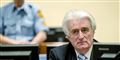Foto: Robin Van Lonkhuijsen/AFP