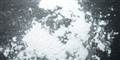 Foto: Mattman723/GNU Free Documentation License/Wikimedia 