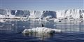 Foto: Staff/Reuters