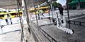 Foto: 50090 Johan Nilsson/tt/Scanpix