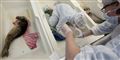 Foto: Polfoto, (AP Photo/Peter Dejong) / POLFOTO