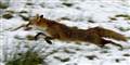 Foto: AP/Phil Noble/PA / POLFOTO