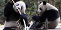 Foto: AP Photo/Xinhua, Chen Xie / POLFOTO