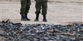 Foto: Eduardo Verdugo/AP