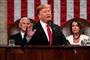 Tirsdag aften lokal tid gav Donald Trump sin anden State of the Union-tale i sin tid som præsident.
