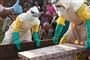 Flere end 500 personer er døde i forbindelse med det seneste ebolaudbrud i DRCongo. Her ses en mor sit barns kiste. (Arkivfoto).