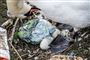 Det er vigtigt at få fjernet plastikaffaldet fra de danske strande, hvor det forstyrrer og ødelægger naturen, mener generalsekretær i Verdensnaturfonden Bo Øksnebjerg. Han opfordrer borgerne til at deltage i jagten på det spredte plastik fem dage i maj. (Genrefoto).