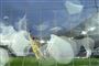 Swansea Citys Bersant Celina scorede til 2-0 i kvartfinalen i pokalturneringen mod Manchester City, som dog vandt kampen med 3-2.