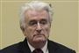73-årige Radovan Karadzic er onsdag blevet idømt livstid for folkedrabet i Bosnien i 1995.