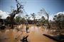Der er fundet koleratilfælde i Mozambique, der for nylig blev ramt af cyklonen Idai, og nu er plaget af voldsomme oversvømmelser.