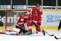 Rødovre Mighty Bulls skal finde en ny cheftræner. (Arkivfoto)