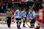 Ishockeyholdet Sønderjyske strøg i finalen med 4-0 i kampe over Aalborg Pirates. (Arkivfoto)