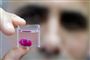 Forskere på universitetet i Tel Aviv siger, at de har skabt det første hjerte på en 3D-printer. Det lille hjerte er så stort som et kirsebær og ligner i størrelsen et kaninhjerte.