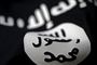 Den vestafrikanske gren af Islamisk Stat (IS) hævder at have dræbt 69 soldater fra Nigerias hær og en koalition af afrikanske lande, der bekæmper militante grupper.