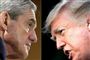 Næsten 500 tidligere embedsmænd og jurister fra USA's justitsministerium siger i en fælles erklæring, at rapporten fra den særlige anklager Robert Mueller har skabt grundlag for at rejse tiltale mod præsident Donald Trump.