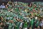 De ungarske fans i Budapest fik noget at juble over, da Györ vandt Champions League-finalen over Rostov-Don.
