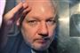 Julian Assange på vej til fængsel, efter at han 1. maj i London blev idømt 50 ugers fængsel for brud på betingelser for kaution.