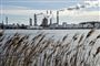 Forskere i USA målte lørdag det højeste daglige niveau af CO2-koncentration i atmosfæren nogensinde. (Arkivfoto)