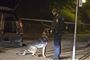 En politihund opsporede en af de mænd, der natten til lørdag blev stukket med kniv på Amager i København. (Arkivfoto).