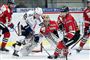 Herning Blue Fox nåede i år kvartfinalerne i Metal Ligaen, men blev slået ud af Aalborg Pirates.