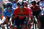 Vincenzo Nibali blev nummer to i dette års udgave af Giro d'Italia. Fra næste sæson kører italieneren for Trek.