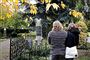 Guillou skyder med skarpt efter royale jagtmetoder