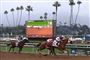 Mange heste er faldet døde om på Santa Anita-banen i Californien det seneste halve år. Arkivfoto.