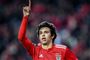 Efter et gennemrbud i Benfica, så skifter 19-årige João Félix til spanske Atlético Madrid.
