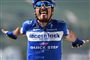 Julian Alaphilippe vandt mandagens etape i Tour de France efter solokørsel over de sidste 15-16 kilometer. Franskmanden er ny mand i førertrøjen.