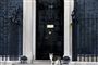 Katten Larry ses her foran premierministerboligen i Downing Street i London.