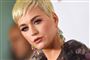 Ifølge en jury i Los Angeles er der for mange ligheder mellem Katy Perrys hit "Dark Horse" og en kristen rapsang, der er produceret fire år tidligere.