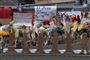 De personer, der i weekenden blev dræbt i El Paso, bliver her mindet ved den Walmart-butik, hvor angrebet fandt sted.
