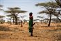 Allerede nu påvirker klimaforandringer vilkårene for verdens bønder i form af mere ekstremt vejr. Her er det tørke i Kenya. (Arkivfoto)