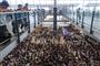 Hundredvis af aktivister i Hongkong  har indledt en særlig sit-in aktion i storbyens lufthavn. Demonstranterne håber at vinde mere international støtte i deres kamp for demokrati.