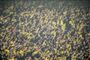 Brøndby IF har haft godt gang i handlerne den seneste uge, hvor flere nye spillere er blevet præsenteret i Superligaklubben, mens der også er sagt farvel til nogle stykker.
