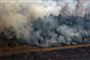 - Det er tragisk at se, hvordan Amazonas er hærget af voldsomme brande - ikke mindst i betragtning af de klimaudfordringer, som vi har, og som verden står over for, siger udenrigsminister Jeppe Kofod før EU-møde i Helsinki torsdag.
