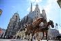 Sankt Stefans Katedral eller Stefansdom i Wien ligger i verdens bedste by at bo i, skriver The Economist, der selv står for opgørelsen. (Arkivfoto)