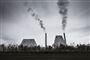Afbrænding af træ og anden biomasse tæller i Danmark regneteknisk som CO2-neutralt, men ifølge en række forskere fra udlandet bedrager Danmark sig selv ved ikke at tælle CO2-udledningen fra afbrænding af træ med i sit klimaregnskab. (Arkivfoto)