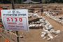 Den israelske arkæolog Dina Shalem bevæger sig gennem en af de oprindelige gader i den 5000 år gamle by.