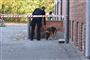 Politiet oplyser mandag aften, at man har anholdt en 29-årig mand, der mistænkes for et knivstikkeri i Rødovre. Tidligere på dagen søgte betjente med hunde efter spor i området.