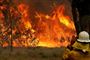 Flere end 1300 brandmænd er sat ind for at bekæmpe de flere end 100 brande i de australske delstater New South Wales og Queensland. Men myndighederne frygter, at der ikke vil være ressourcer til at bekæmpe flammerne, hvis brandene breder sig de kommende dage.