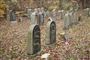 Hærværk mod jødiske grave: Nynazist anholdt