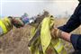 Koalaer er i de seneste uger blevet forsøgt reddet af brandmænd og frivillige efter de mange bushbrande, der hærger det østlige Australien.